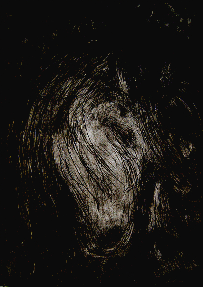 Head of  a Horse
