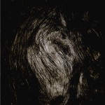 Head_of_a_Horse1_byLolana_2