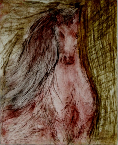 Wild Horse