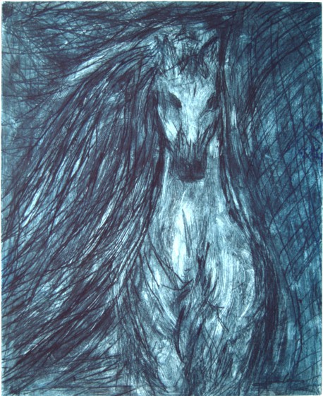 Wild Horse
