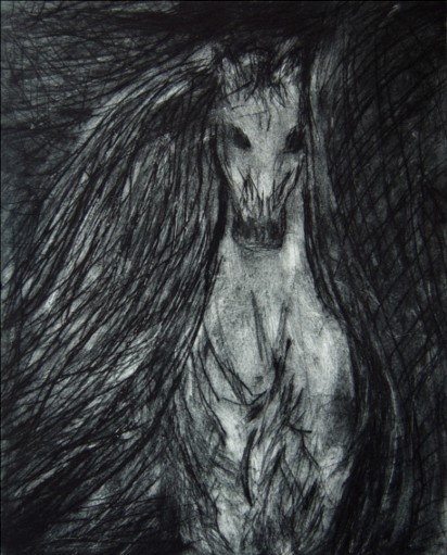 Wild Horse