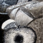 still_life_fruit_DSC_0268_Crop+sharp2_signed_SMALL2015